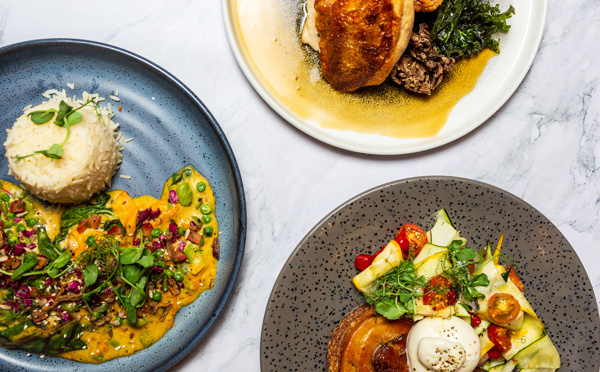 selection of lunch dishes 