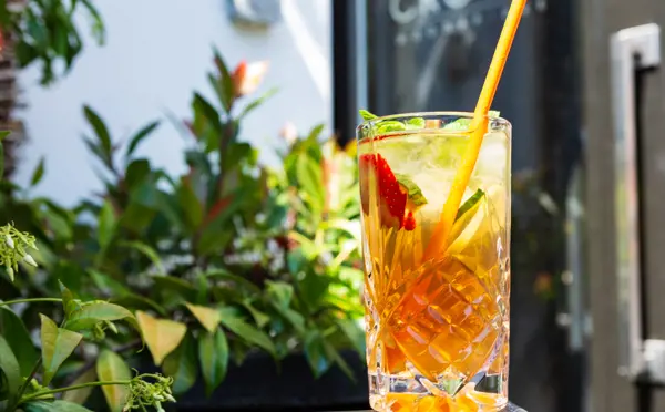 A glass of Pimm's on the terrace