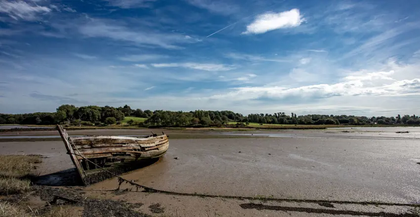 Discover Woodbridge and beyond